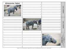 Leporello-Asiatischer-Elefant-1-2.pdf